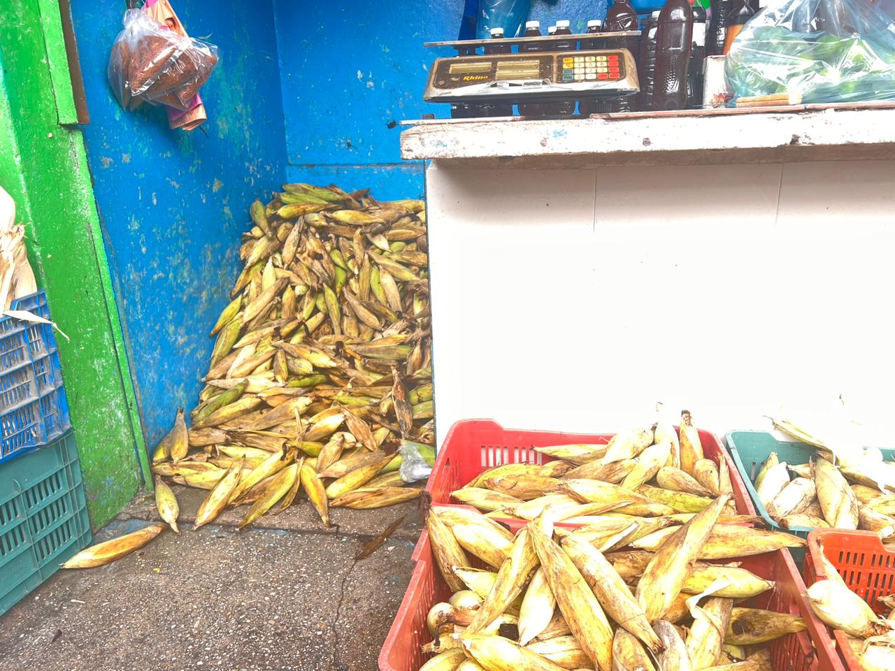 Precio de elote alcanza niveles históricos en el sur y hay escasez