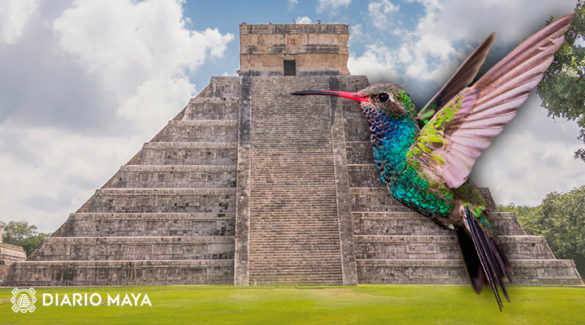 Leyenda Maya Del Colibrí Origen Y Relación Con La Muerte 1353